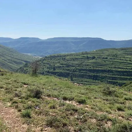 莫拉达寺乡村民宿 *